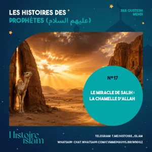 [Ep 17] Le Miracle de Salih : La Chamelle d'Allah [Les Histoires des Prophètes]