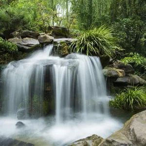 Sonidos De La Naturaleza Pajaros Cascada Para Dormir (Cascada Calmante Agua Turquesa Con Sonidos De La Naturaleza, Sonidos De La Naturaleza Pajaros Cascada Para Dormir Prufondamente)