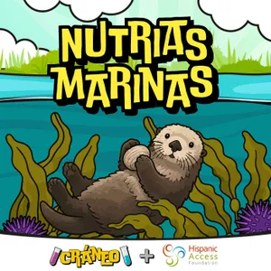 Nutrias Marinas: la criatura que duerme tomada de la mano