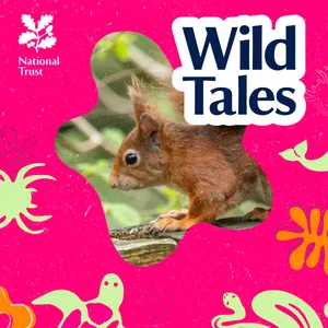 Operation Nutcracker | The Return of the Red Squirrel