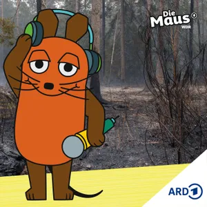 Kein Waldbrand mehr in der Eifel