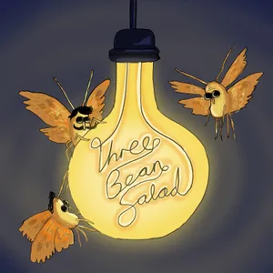 Moths