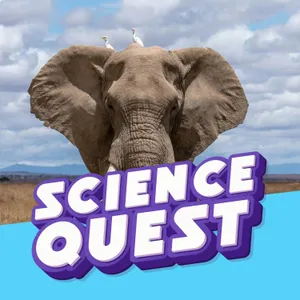 Jungle Doctors: How Wild Elephants Use Plants as Herbal Medicine 🐘🌿