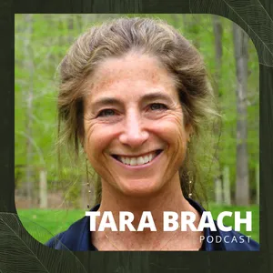 Worrier Pose: Finding Freedom from the Body of Fear (retreat talk)