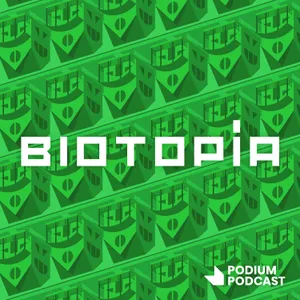T03E07 - Las moléculas