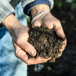 Beyond peat