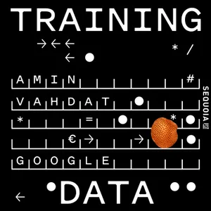 Google's AI Infrastructure Chief, Amin Vahdat, on the Physics & Economics of Frontier AI