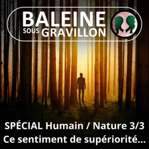 Et l'Humain divorça de la Nature... 3/3 : Ce tenace sentiment de supériorité... (Gilles Vervisch)
