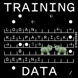 Google DeepMind's Logan Kilpatrick: Why the Model Eats the Harness
