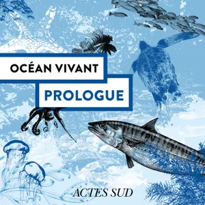 Prologue - Océan Vivant