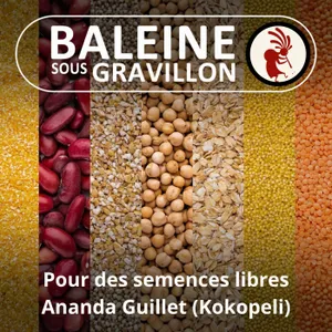 Qu'est devenu l'agriculture ? (Ananda Guillet, Kokopelli)