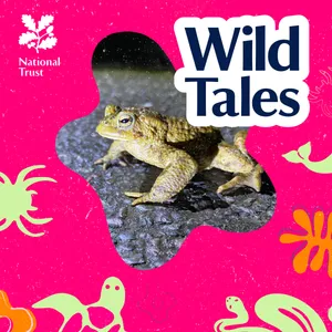 Toad Patrol | The Perilous Path