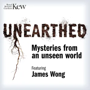 Uncovering a multi-million pound smuggling trade