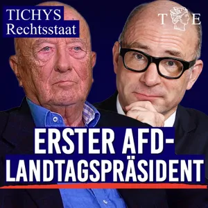 AfD-Verbot wegen EU- und NATO-Austritt & was die Wahl des ersten AfD-Landtagspräsidenten bedeutet
