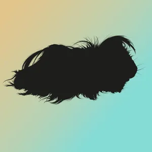 Nora Gomringer: Am Meerschwein übt das Kind den Tod