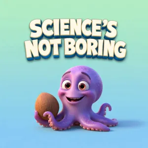 What is an octopus?