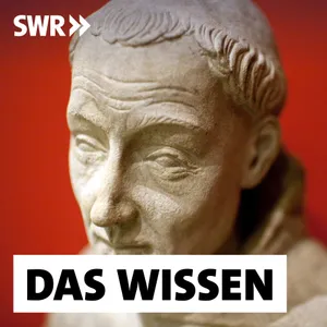 Franz von Assisi – Radikaler Prophet der Armut