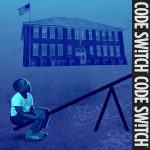 Let’s stop pretending we desegregated schools