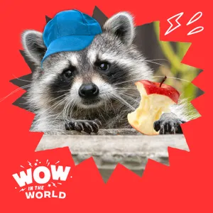 From Trash Can to Man’s Best Friend?: The Wild Science of Raccoon Domestication