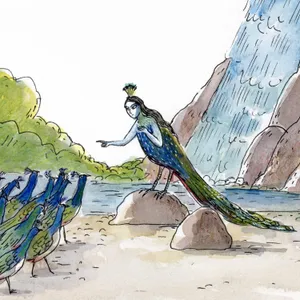 Little Peacock’s Plumage