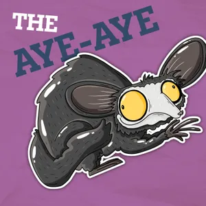 Why Are the Middle Fingers of Aye-Ayes So Long?