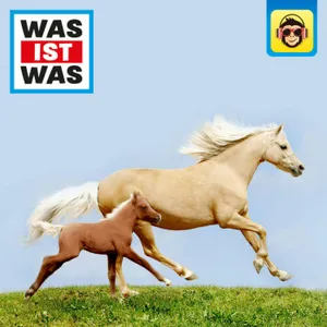 Pferde - Von frechen Fohlen und wilden Mustangs
