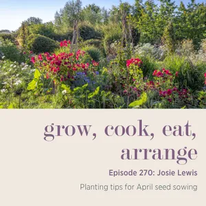 Josie Lewis: Planting tips for April seed sowing - Episode 270