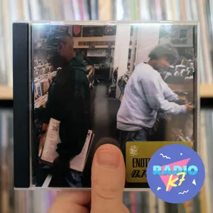 DJ Shadow "Endtroducing....." (1996), le champion du monde du sampling