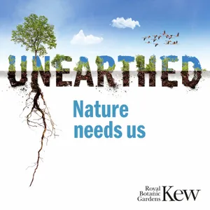 How can we regenerate nature successfully?