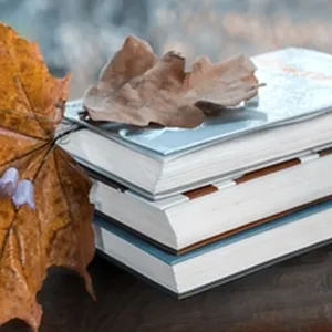 Poems to get you through the change of season