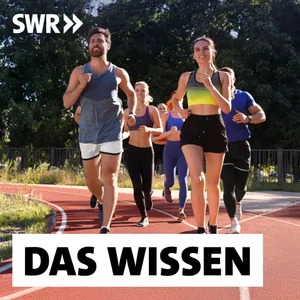 Richtig Laufen – Wie der Ausdauersport Körper und Psyche stärkt