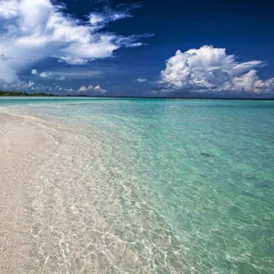 Turquoise Waves ~ Dreamy Ambient Music & Healing Ocean Sounds