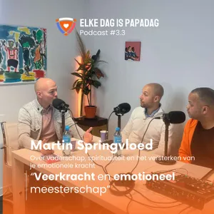 3.3 | Martin Springvloed over veerkracht en emotioneel meesterschap