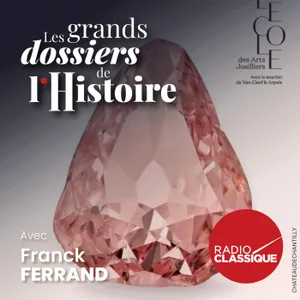 BONUS : Le vol du Diamant rose : l'une des plus fascinantes aventures criminelles de l'histoire des musées français