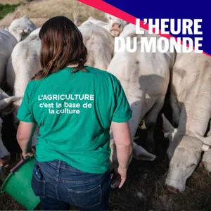 La détresse des agriculteurs face à la crise climatique