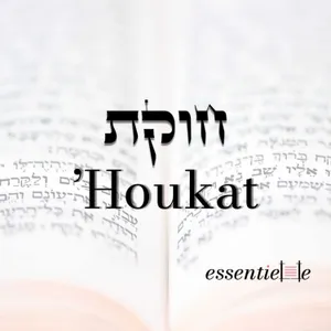 5786 - Houkat - Le puits de Miriam, le secret des femmes qui transmettent la Torah