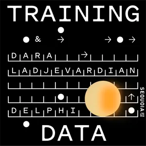 Delphi’s Dara Ladjevardian: How AI Digital Minds Can Scale Human Connection