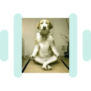 Peaceful SoundBoard - SoundBoardW.com