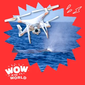 SnotBot! The Real Whale Snot Drone & How Scientists Study Whales