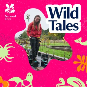 Wild Voices | Trees for Tomorrow