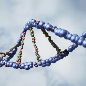 Can a world-first gene therapy reverse ageing?