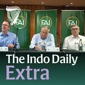 Extra: FAI grilled by Oireachtas over second player vote on eve of Israel game