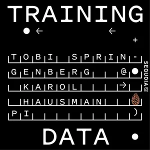 Training General Robots for Any Task: Physical Intelligence’s Karol Hausman and Tobi Springenberg