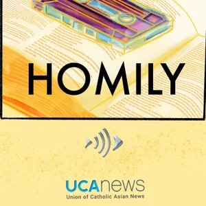 Homilies: Twenty-Fourth Sunday of the year (A) Sept. 13, 2026