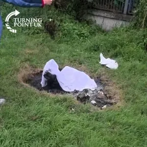 We Reveal The Truth Behind Ballymun Dog Killing Story