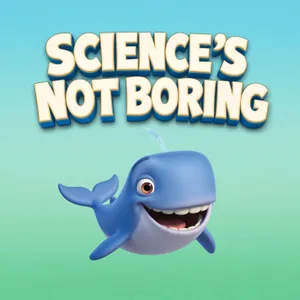 What is a whale?