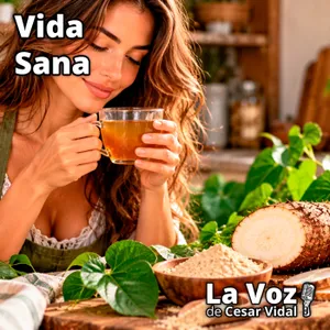 Vida Sana: Ñame silvestre: La planta medicinal que promete revolucionar tu salud hormonal - 14/10/26