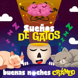 Sueños de gatos (Tranquilidad)