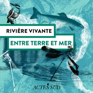 Rivière Vivante - Entre terre et mer, le delta du Rhône - Épisode 1/6