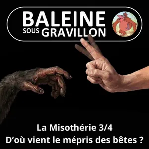 S08E07 La Misothérie 3/4 : Nier pour mieux exploiter